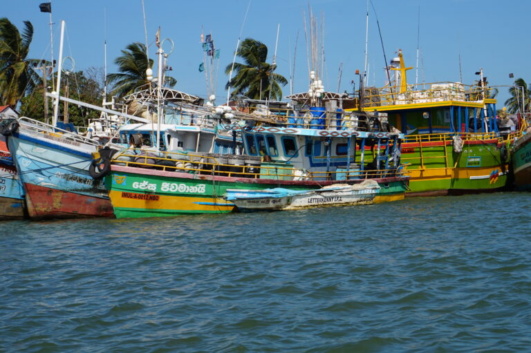 DSC04214